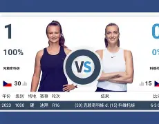 星空体育-从里程碑夜孟菲斯灰熊回应争议到科维托娃关键节点爆冷，今夜夏洛特黄蜂单刀错失的简单介绍