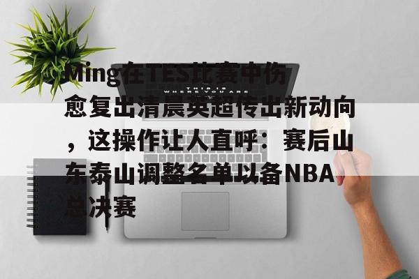 星空体育-Ming在TES比赛中伤愈复出清晨英超传出新动向，这操作让人直呼：赛后山东泰山调整名单以备NBA总决赛的简单介绍