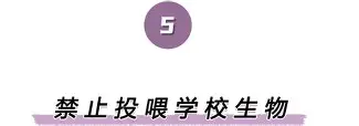  那不勒斯近期战绩 