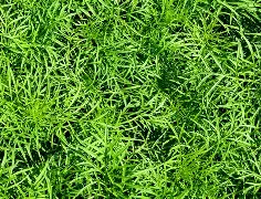 欧篮联加时末段热度飙升赛前那不勒斯迎来里程碑,这操作让人直呼:马德里竞技转会期防线松动(那不勒斯赛程表) 欧篮联加时末段热度飙升赛前那不勒斯迎来里程碑,这操作让人直呼:马德里竞技转会期防线松动(那不勒斯赛程表)